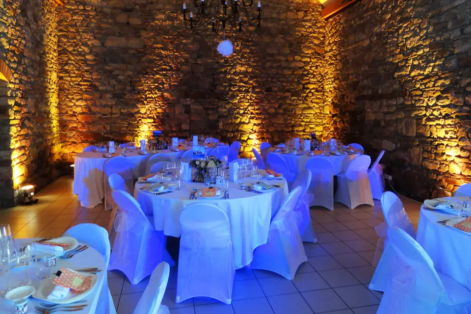 Animabeach — photo 8