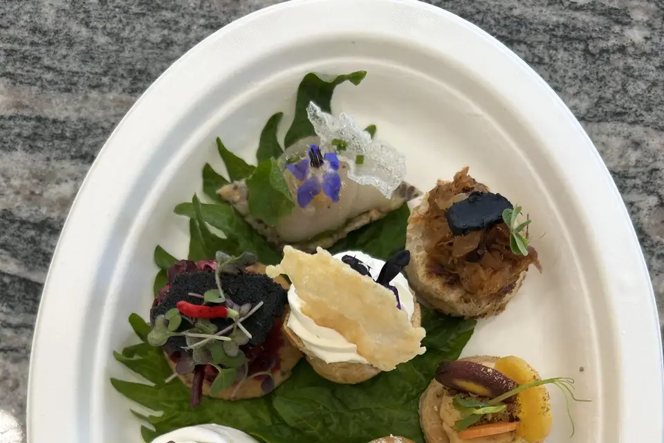 Chouette Ensemble ! — photo 1