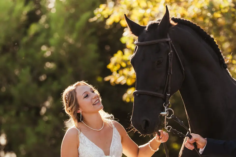 Nowmadz Creative Studios — photo 3