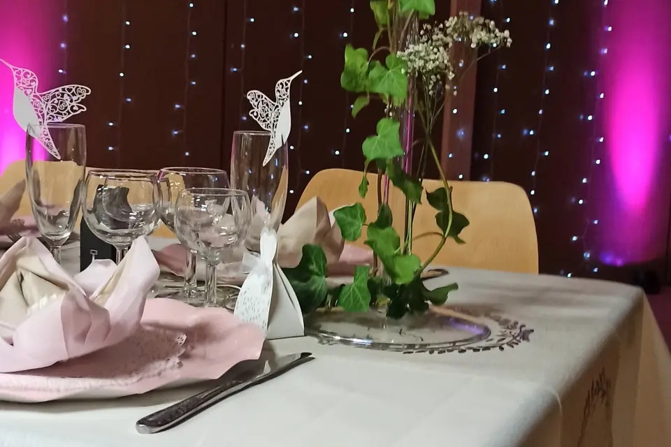 Animation.Sonorisation.88 — photo 7