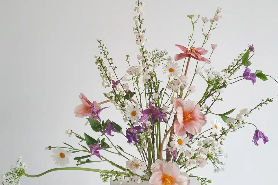 By Tdbc Event — photo 6