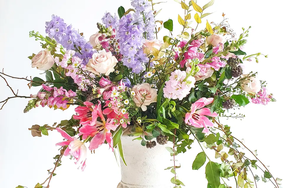 By Tdbc Event — photo 5