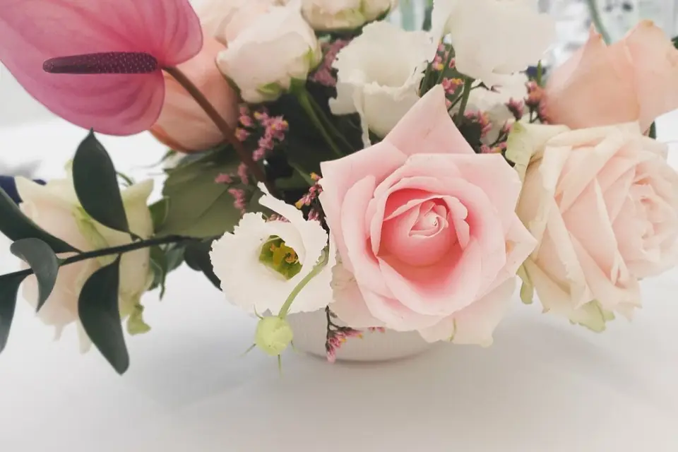 By Tdbc Event — photo 4