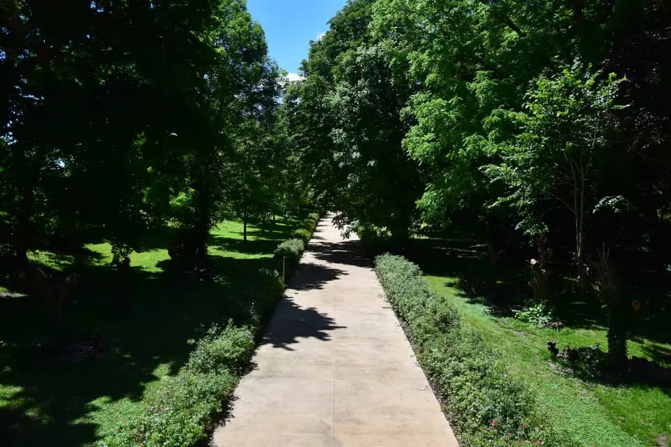 Château de Poëzat — photo 4