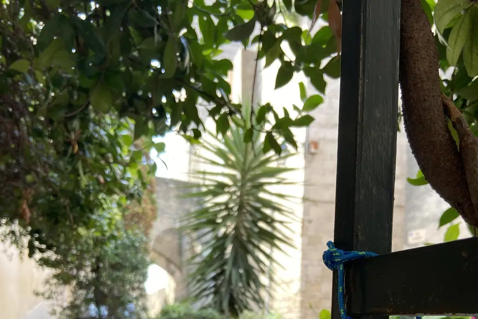 Parenthèse Sport Nature — photo 8