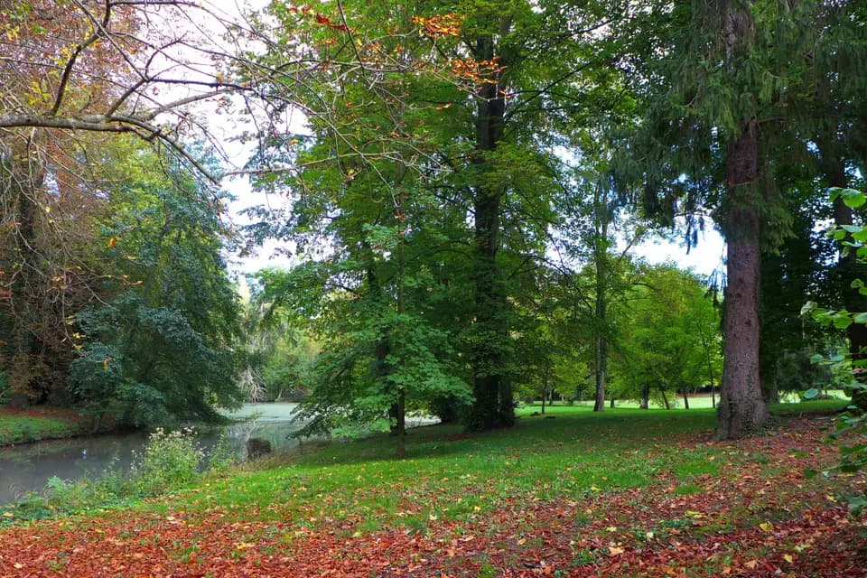 Château de Poëzat — photo 7