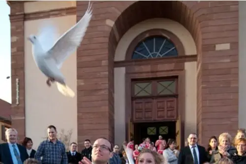 Dis-moi oui — photo 3