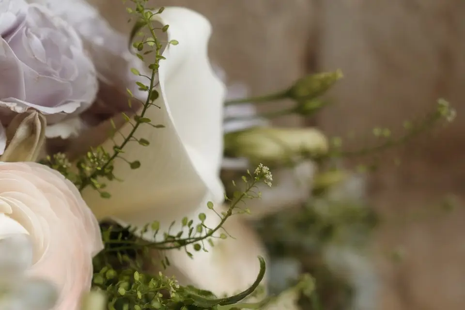 Kiss Cool Stories — photo 6