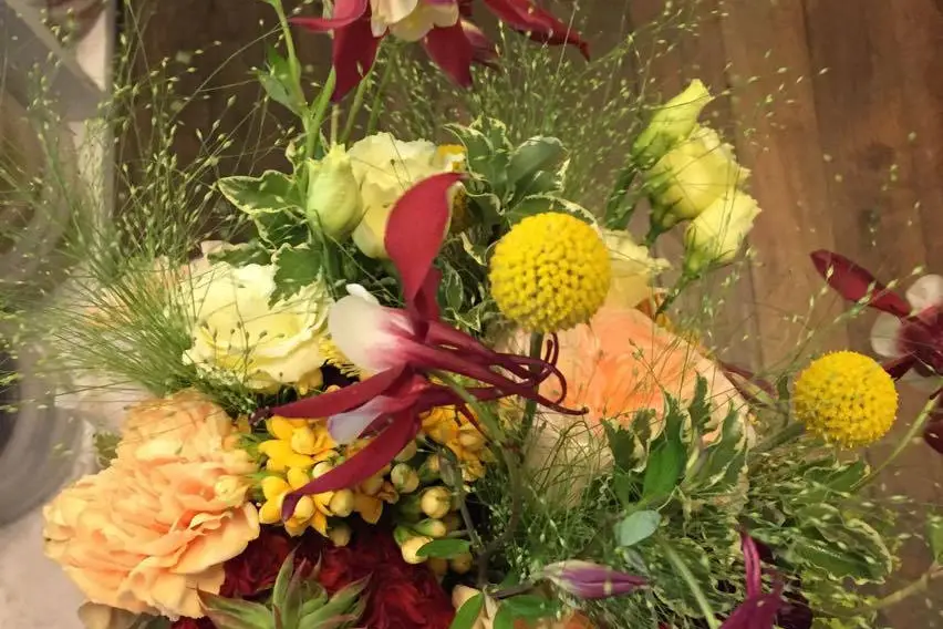 Fleurs et Tralala — photo 5