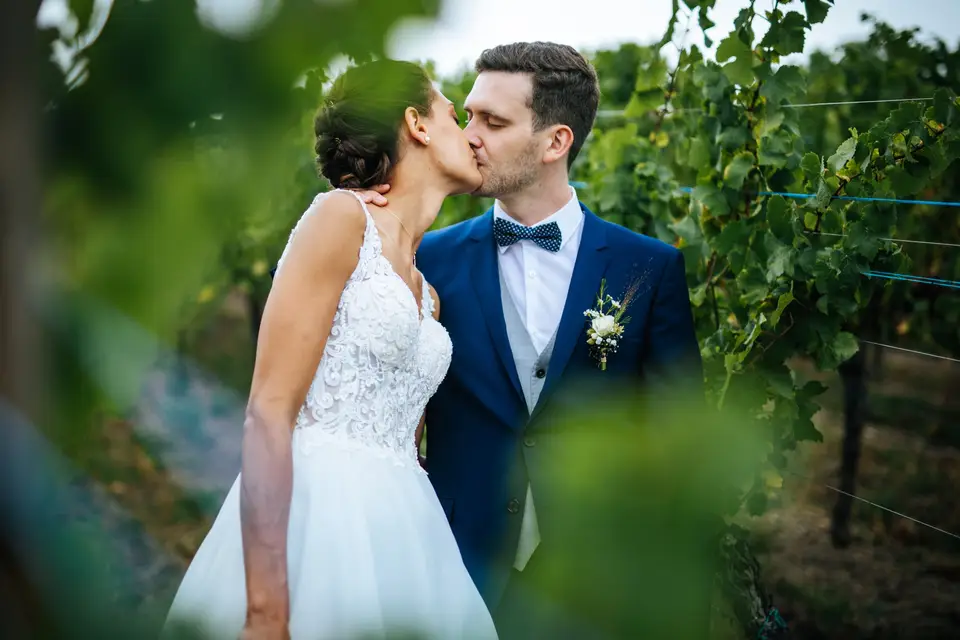 William Flandrin Visual — photo 7