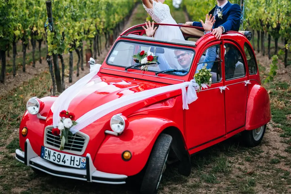 William Flandrin Visual — photo 1