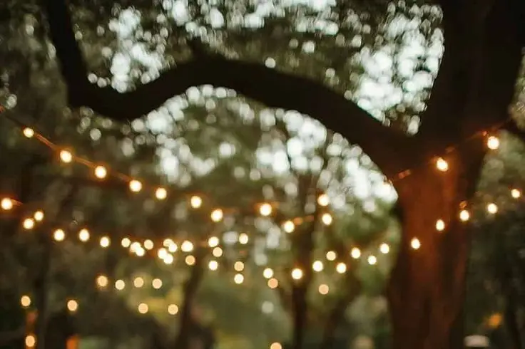 Signature seven — photo 4