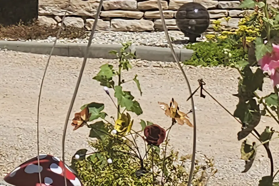 Domaine de la Baronnie — photo 4