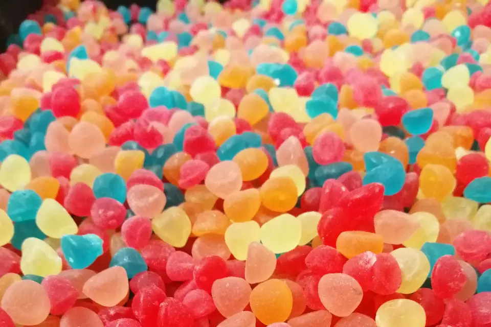 Petit Ludo — photo 6