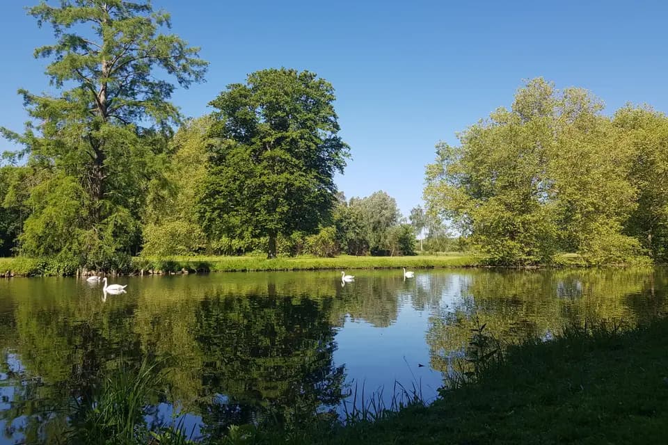Château de Troissereux — photo 7