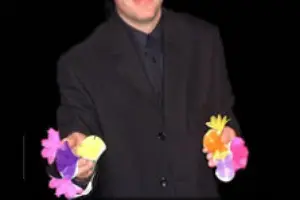 Magic-Ludor — photo 3