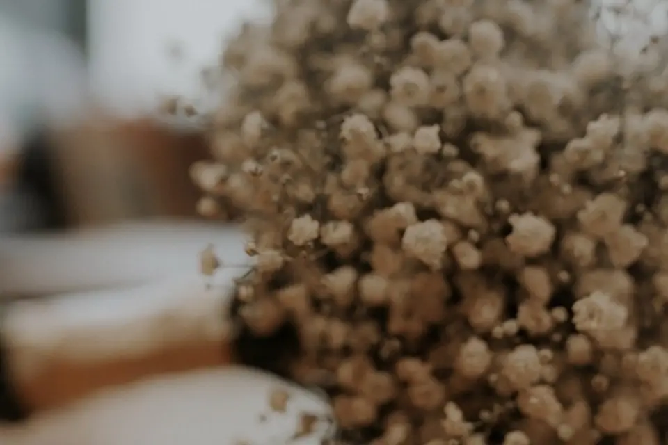 Maison Everlin — photo 7