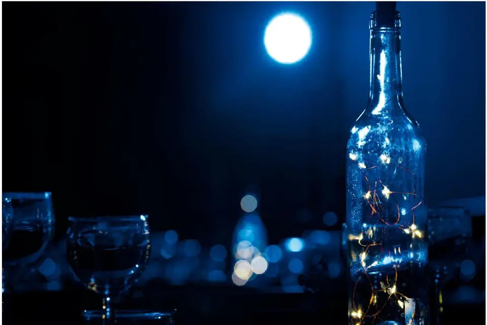 Festivy Event — photo 1