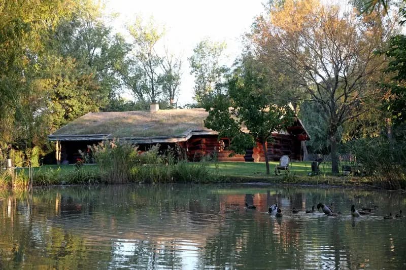 Hasta Luego — photo 2