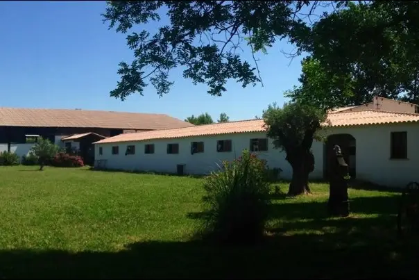 Hasta Luego — photo 1