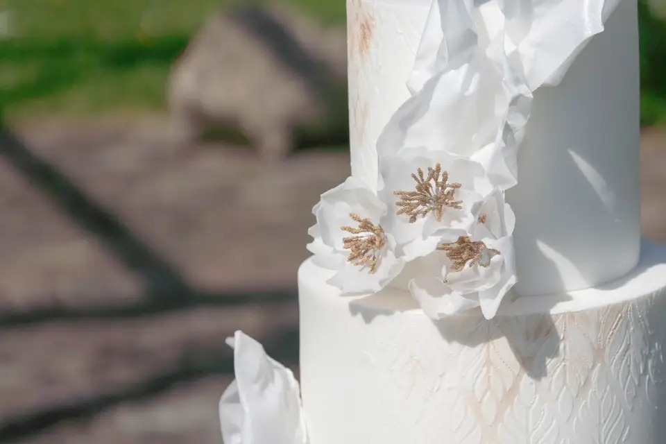 Cré-AnneC — photo 3