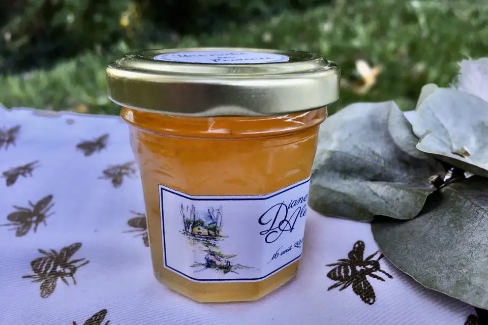 Une Ruche en Provence — photo 1