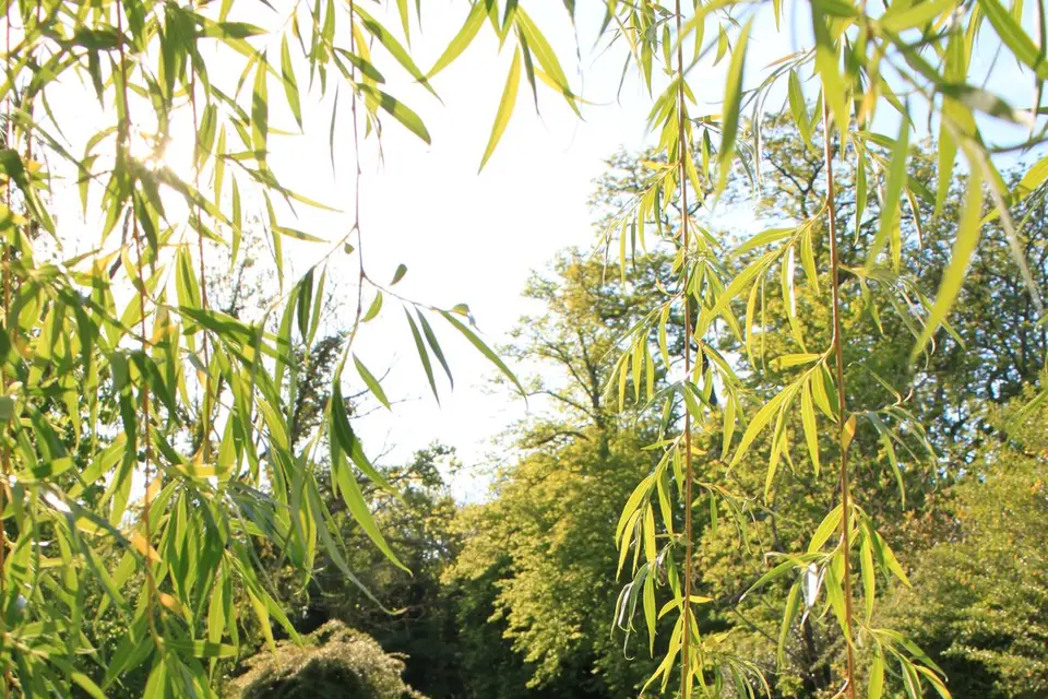 Château du Double — photo 6