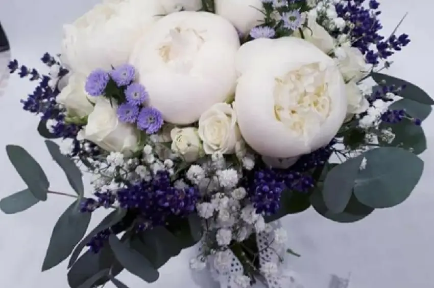 Couleur Pivoine — photo 4