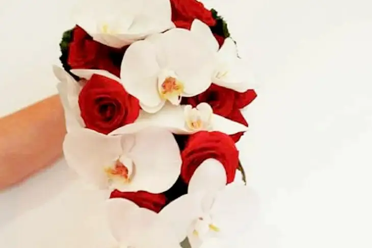 Couleur Pivoine — photo 5