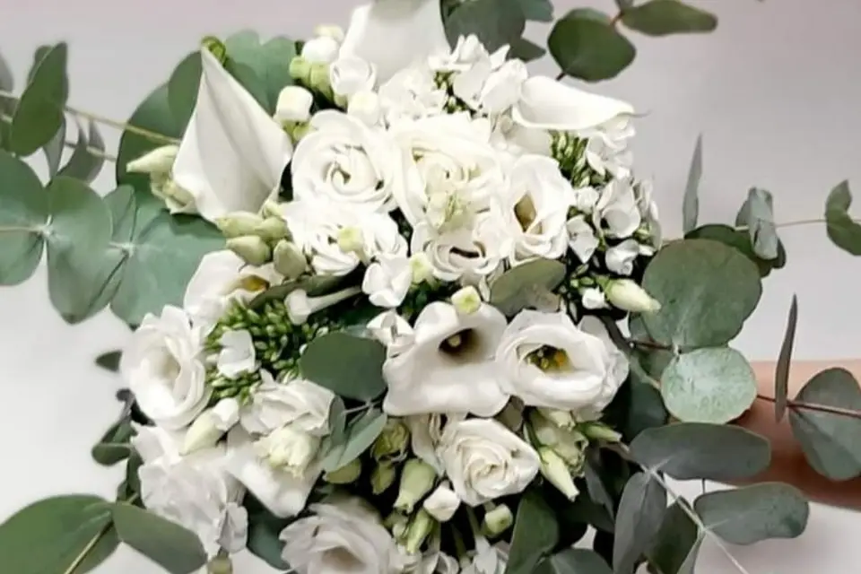 Couleur Pivoine — photo 3