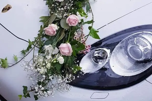 Couleur Pivoine — photo 2