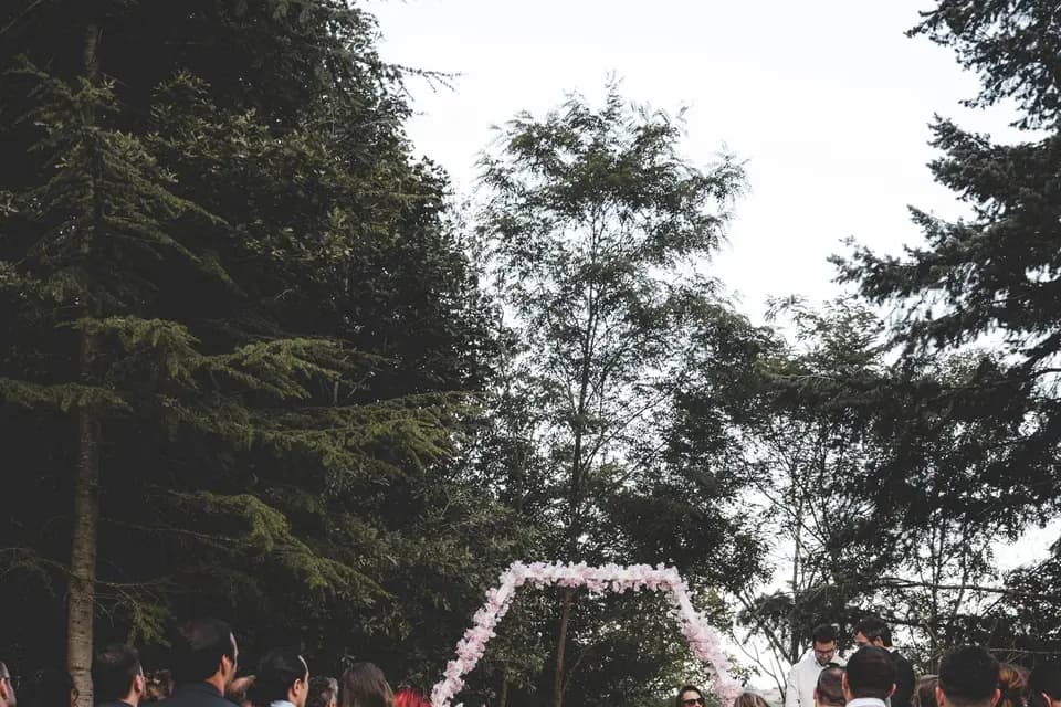 Villa Rose — photo 2