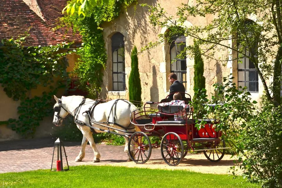 Château de Beauvoir Bourbonnais — photo 8