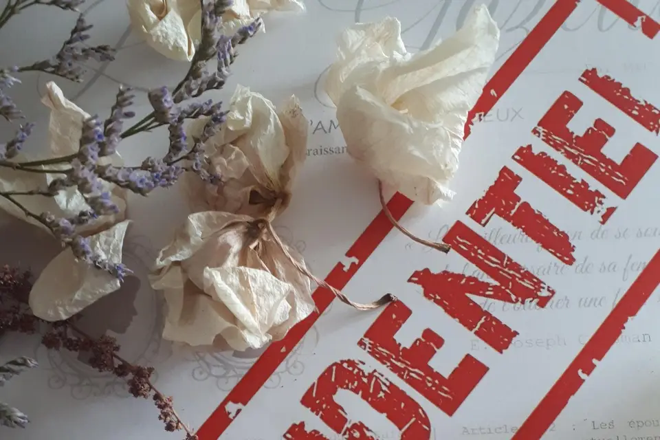 M&C Mariage — photo 5