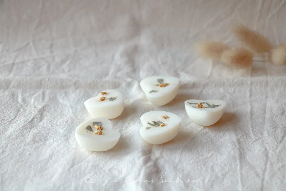 Les Âmes Séchées — photo 3