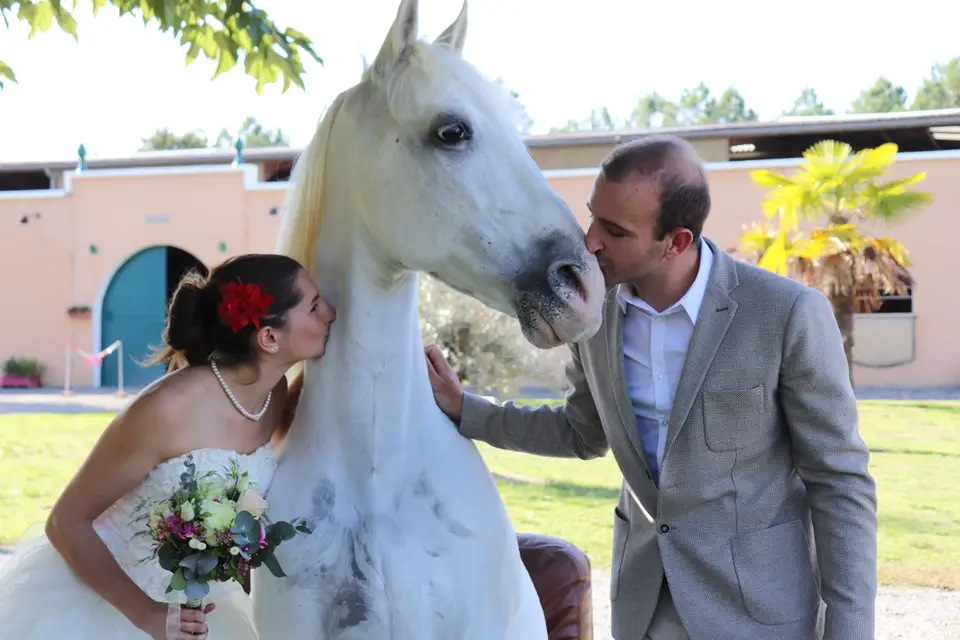 Domaine El Campo — photo 6