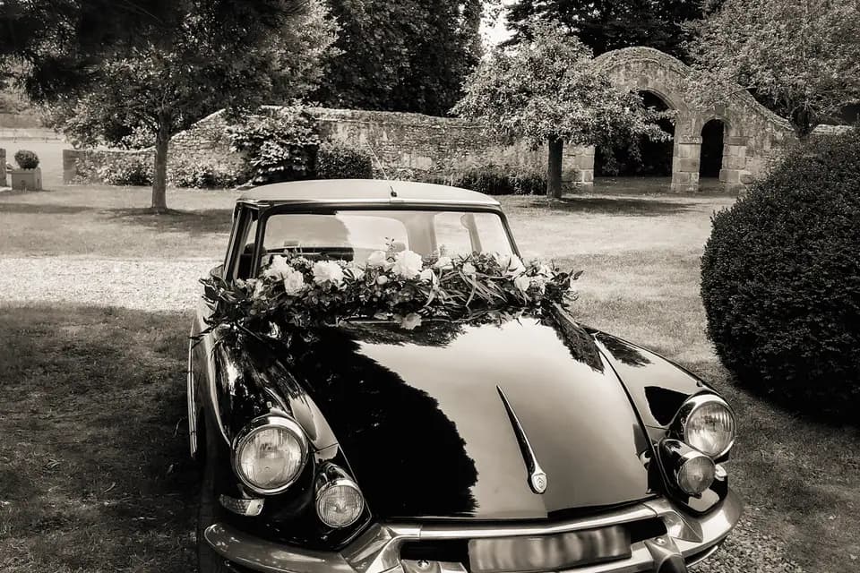 En route avec Dédé — photo 6