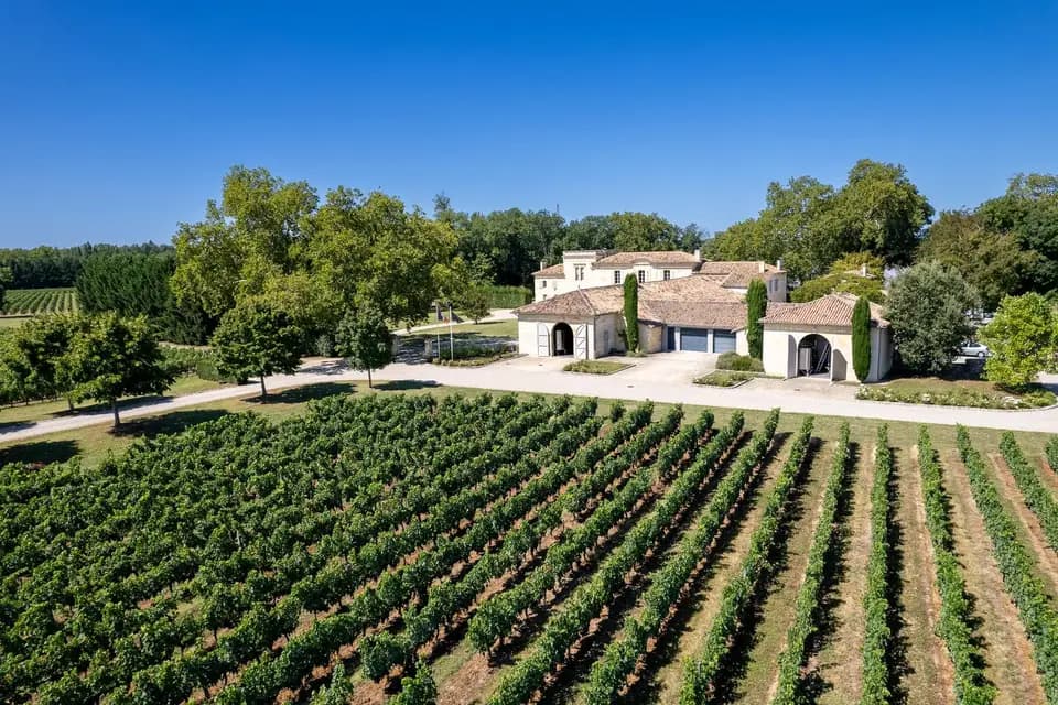 Château Larteau — photo 1