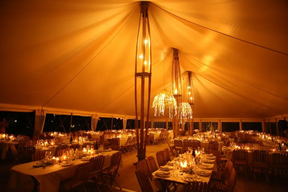 Bambouscoopic — photo 6