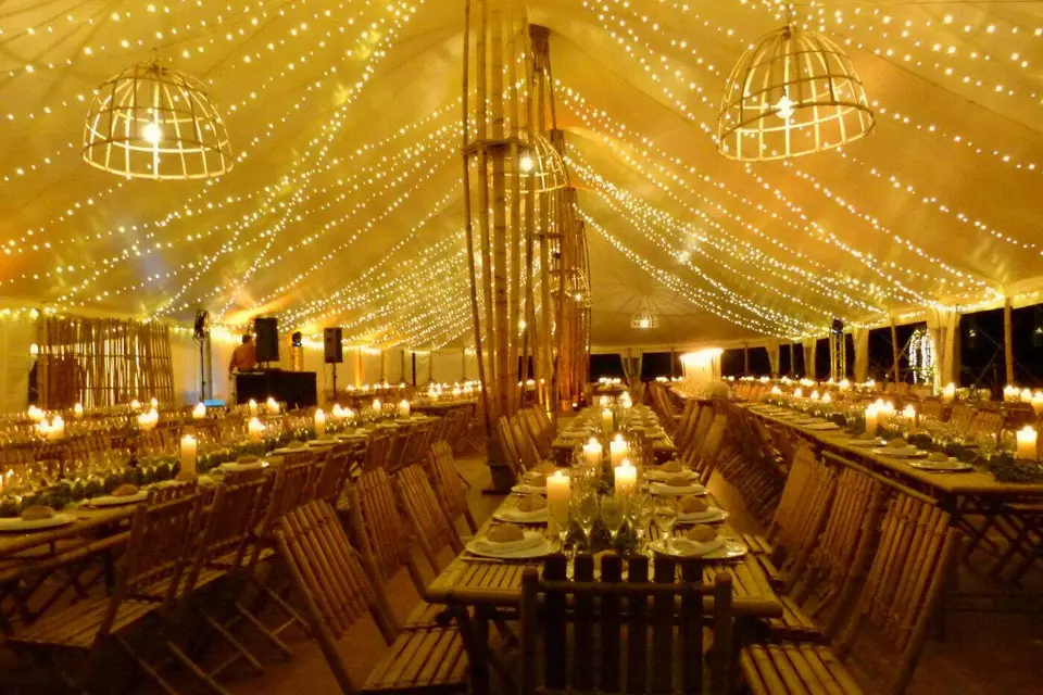 Bambouscoopic — photo 8