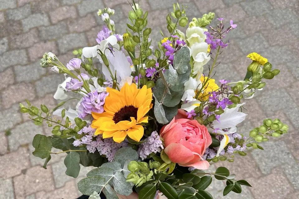 Mimimosa — photo 4