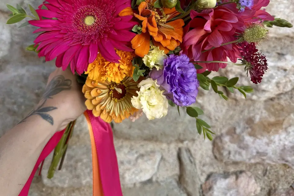 Mimimosa — photo 3