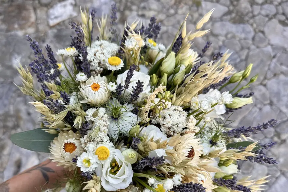 Mimimosa — photo 8