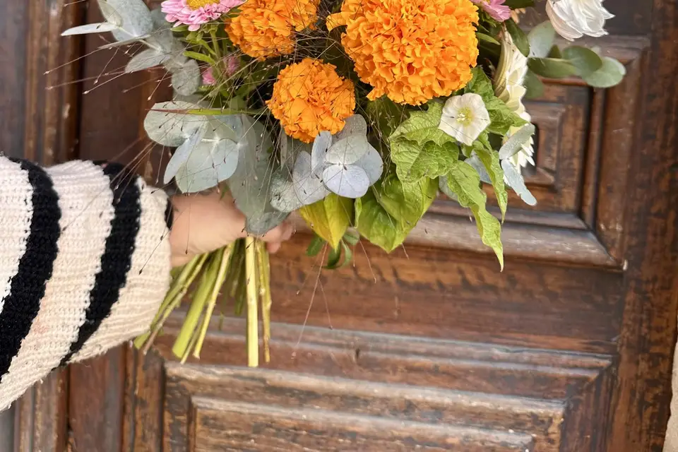 Mimimosa — photo 7