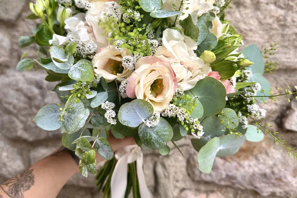 Mimimosa — photo 5