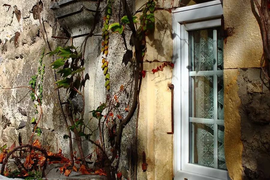 Château de Mauras — photo 3