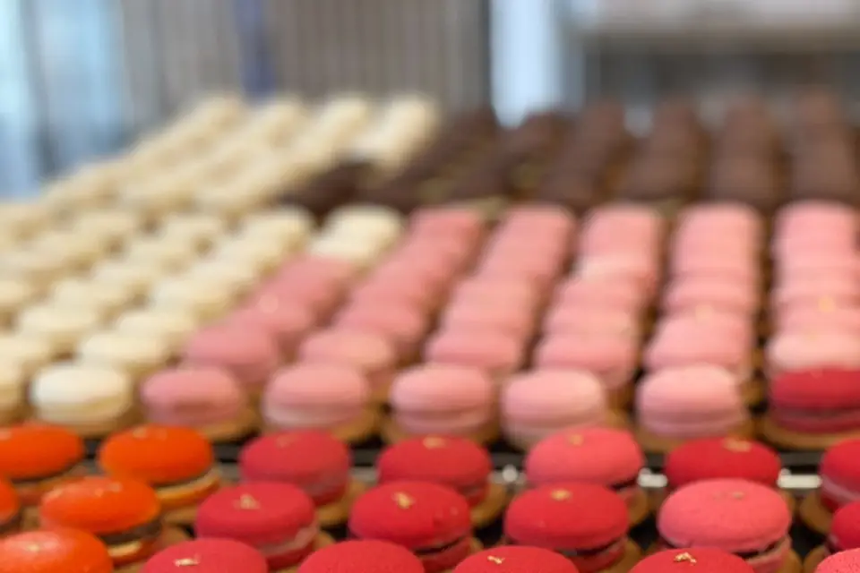 Les Goûts Délicats — photo 5