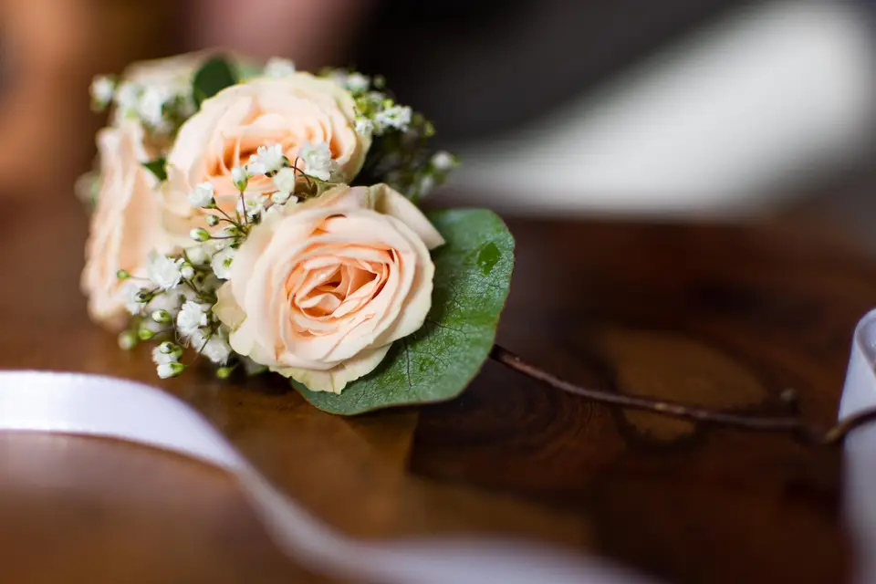 Grassiano Photographie — photo 7