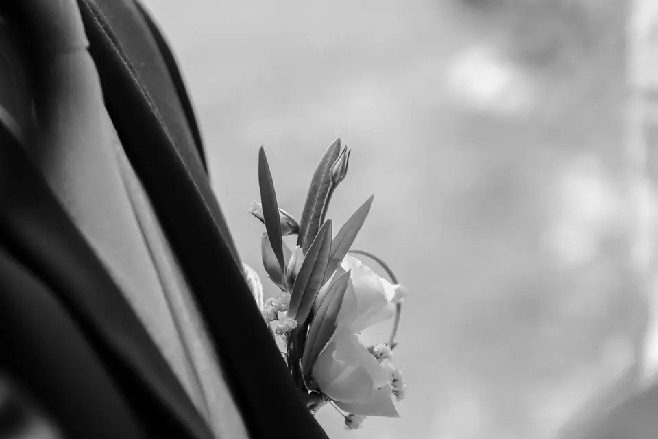 Aline Aubert — photo 6