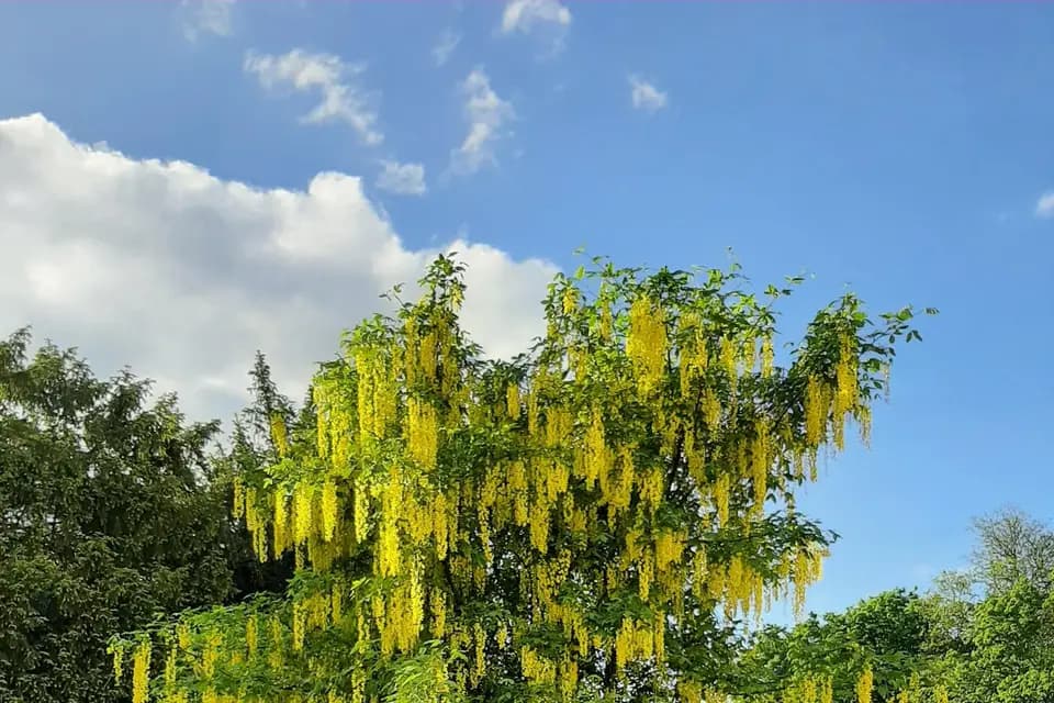 Le Château de Boucq — photo 8